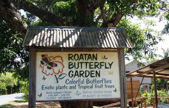 Explore Roatan 