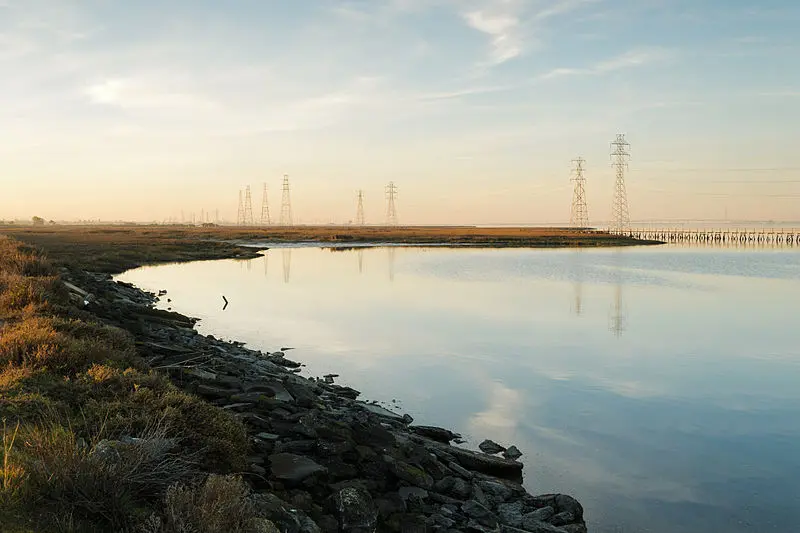 Baylands Nature Preserve