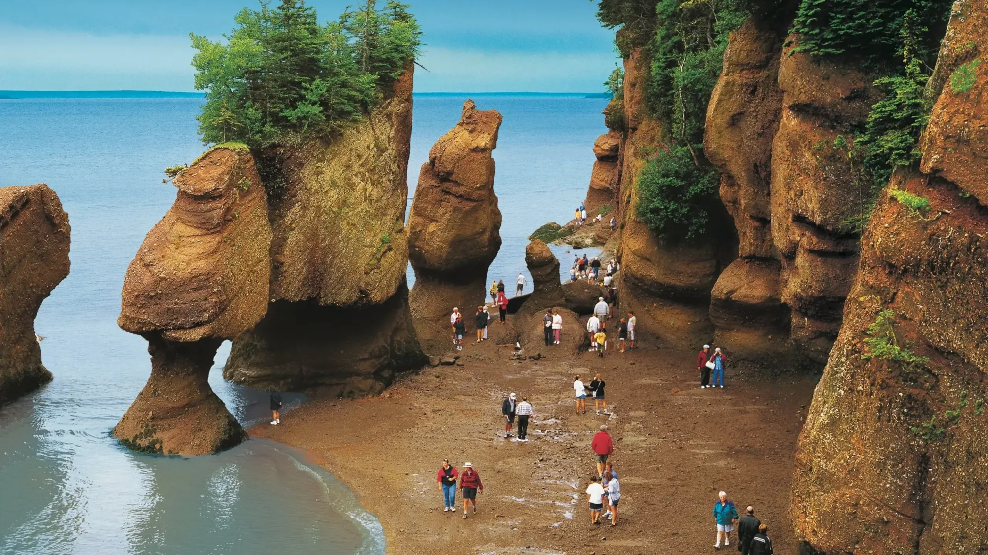 Hopewell Rocks Tours - Book Now | Expedia