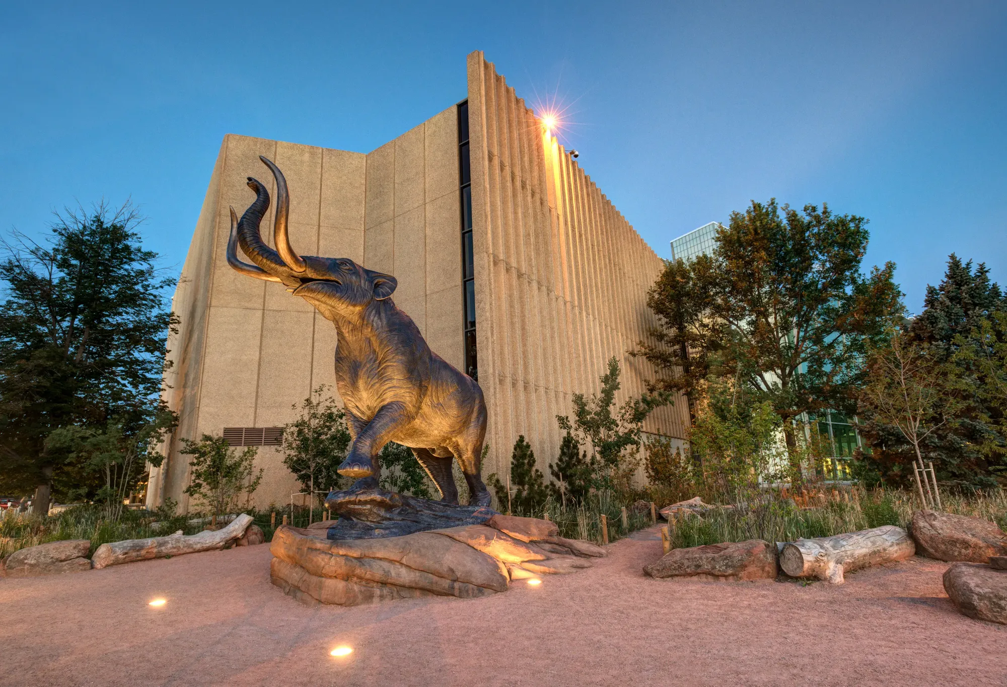 OFFICIAL Denver Museum of Nature & Science : Denver Museum Of Nature &  Science