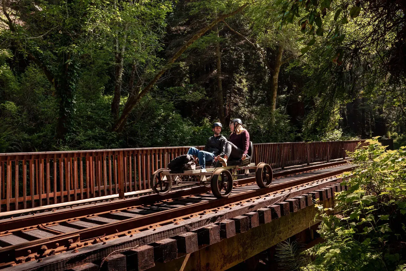 Skunk Train