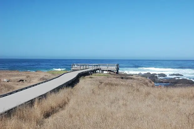 MacKerricher State Park - Visit Mendocino County