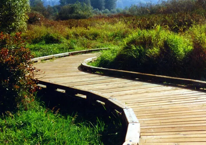 Detail Mercer Slough Nature Park — Environmental Works