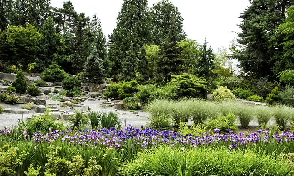 The Gardens - Bellevue Botanical Garden