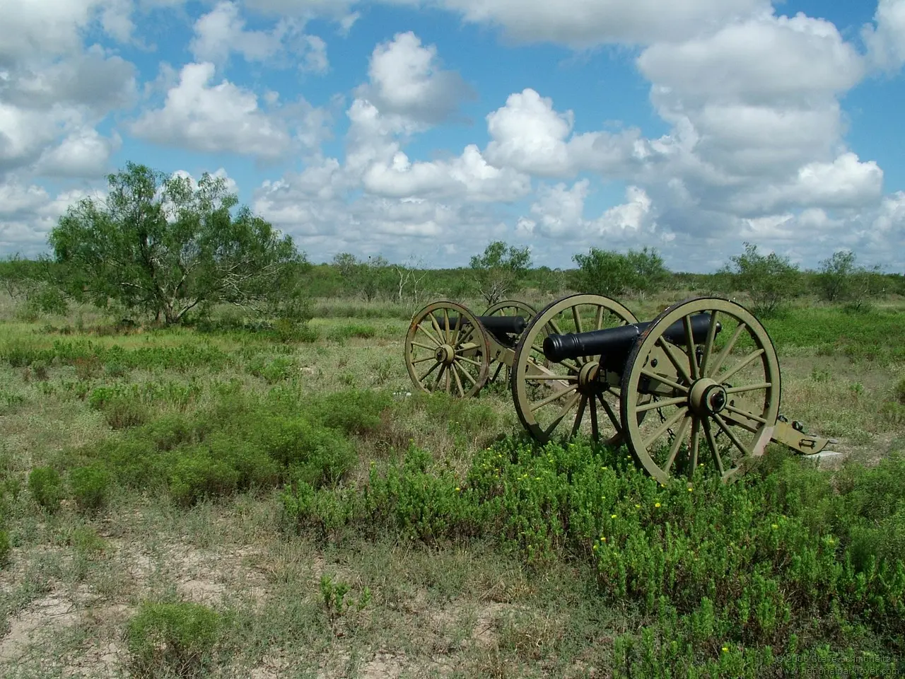 Palo Alto Battlefield National Historical Park - Wikipedia