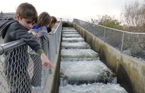 Nimbus Fish Hatchery Salmon Ladder – Sacramento Sidetracks