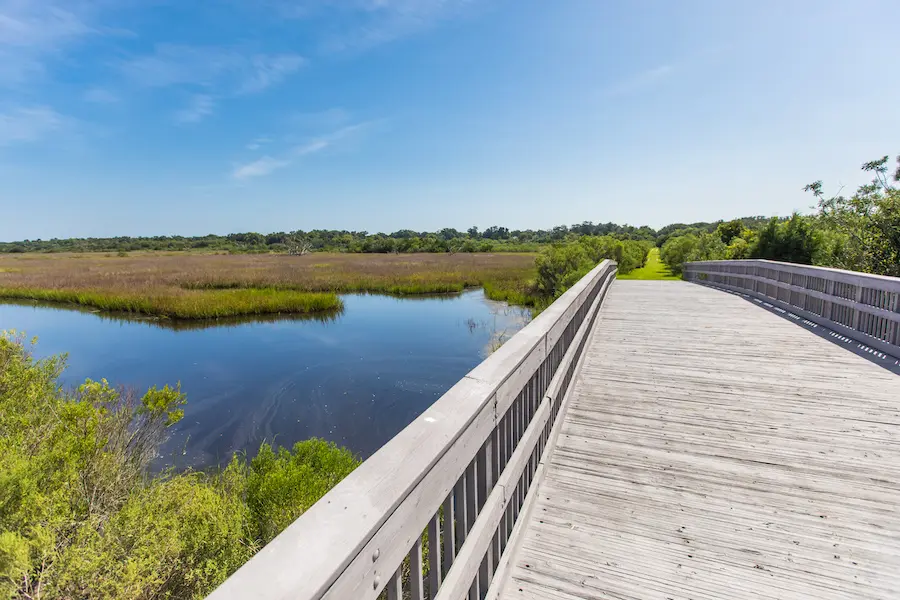 Hidden In Plain Sight! Explore Egans Creek and Greenway - Amelia Island