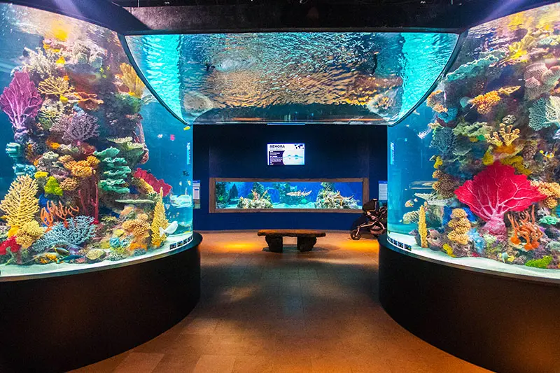 Electric City Aquarium & Reptile Den | Scranton | DiscoverNEPA