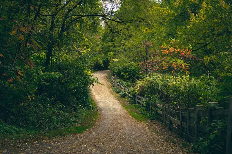 Lackawanna River Heritage Trail | Scranton | DiscoverNEPA