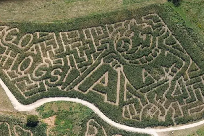 Ozark Corn Maze Open for Fall