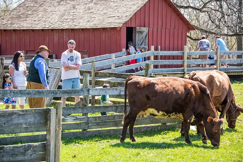 13 Volkening Heritage Farm ideas | heritage, farm, 19th century