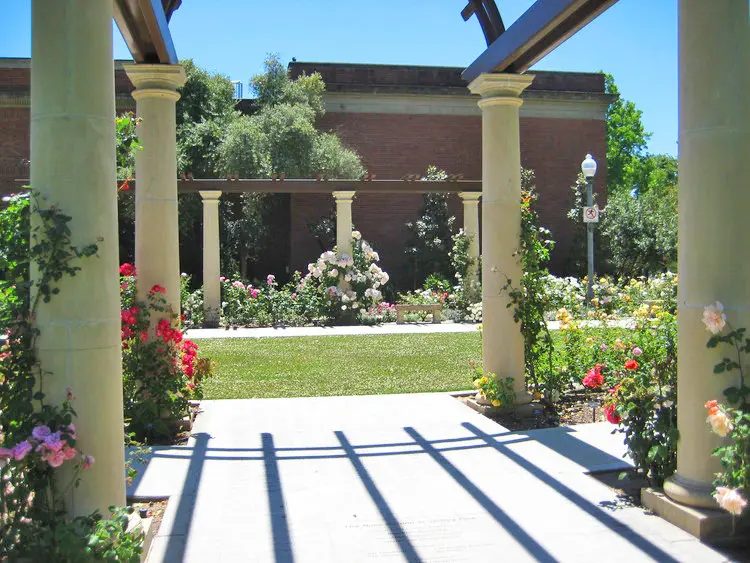 Stockton Beautiful > Projects > Rose Garden at Victory Park