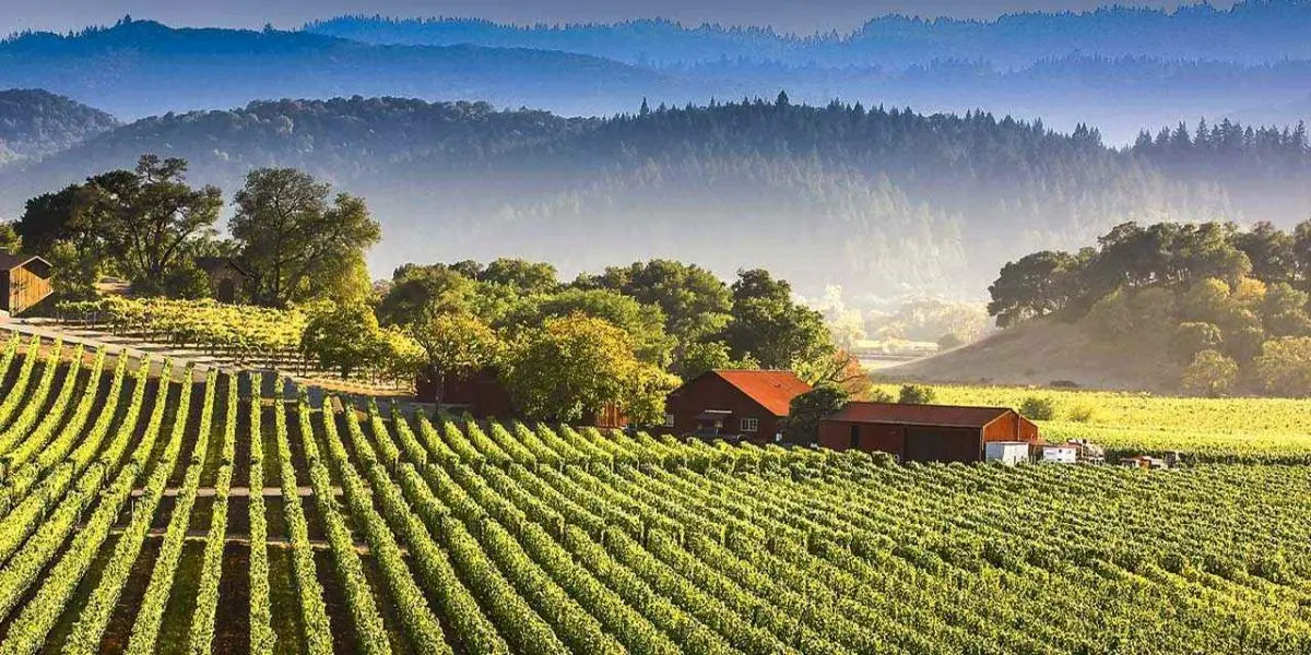 Interesting Facts about Lodi in California region | Winetourism.com