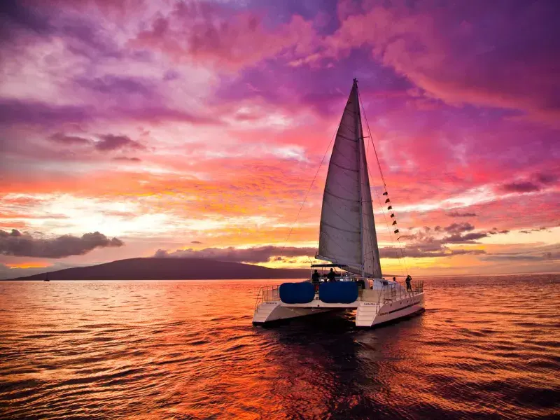 Maui Cocktail Sunset Sail with Premium Open Bar & Gourmet Appetizers -  Trilogy tours, activities, fun things to do in Maui(Hawaii)｜VELTRA