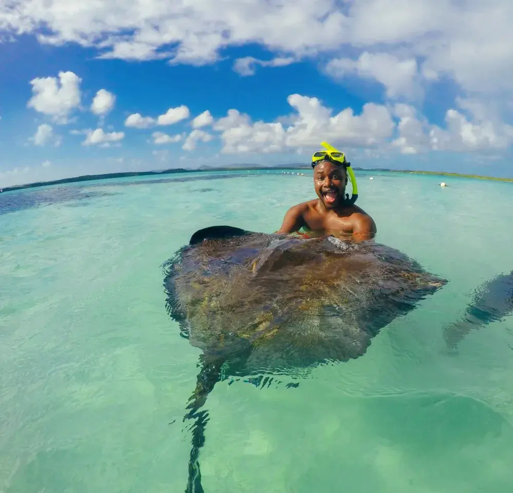 How To Swim With Stingrays In Antigua - Hand Luggage Only - Travel, Food  And Photography Blog