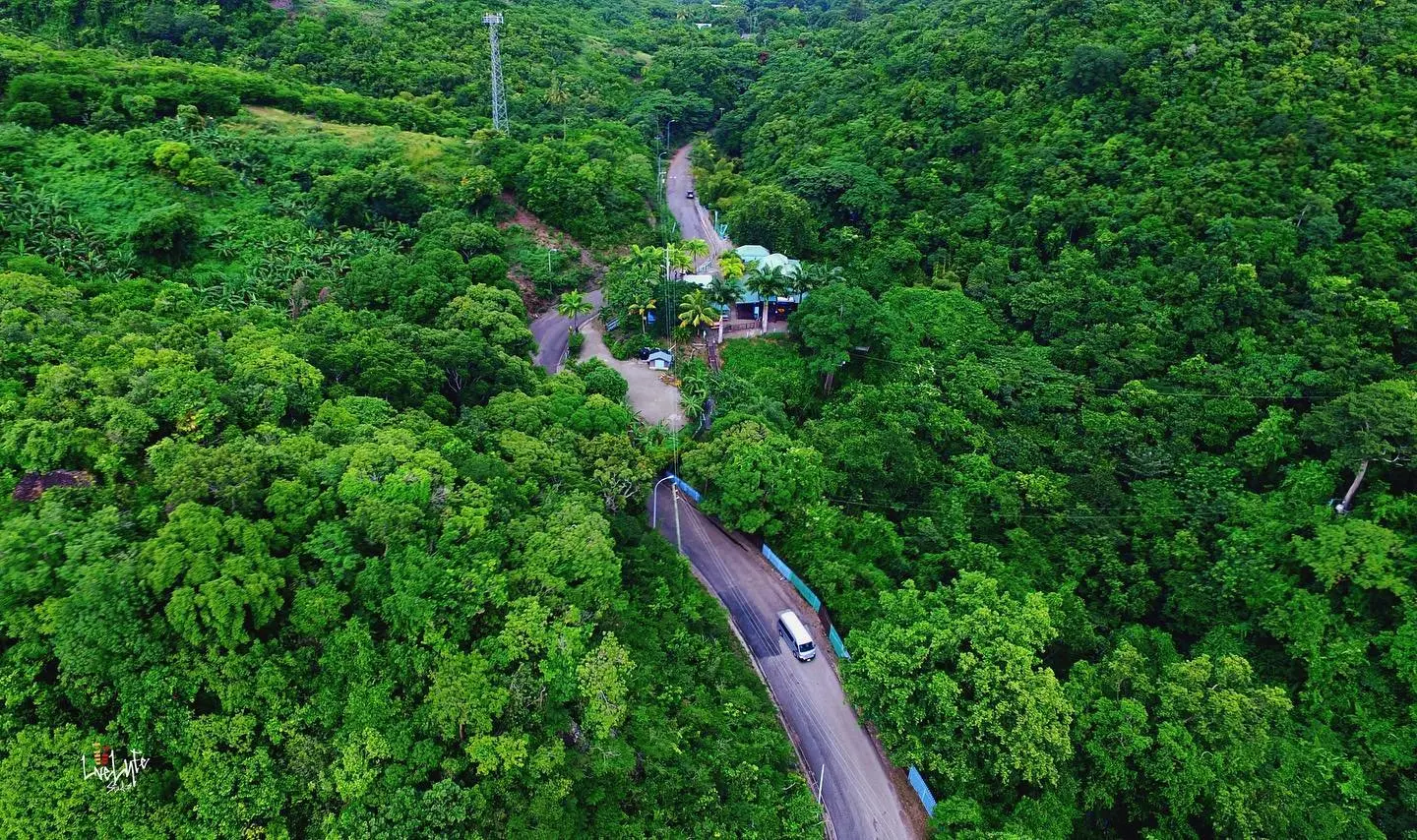 About Us — Antigua Rainforest Zipline Tours