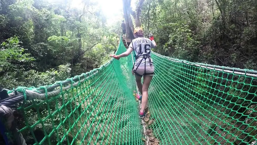 Antigua Rainforest Canopy – Visit Antigua & Barbuda