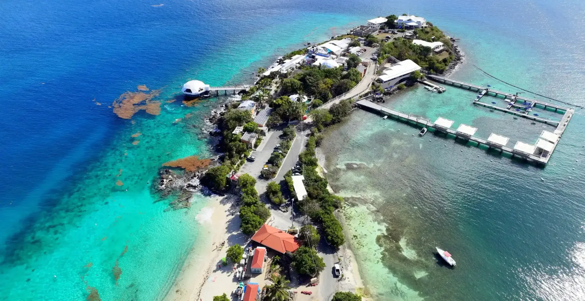 Coral World Ocean Park - St. Thomas Eco Park