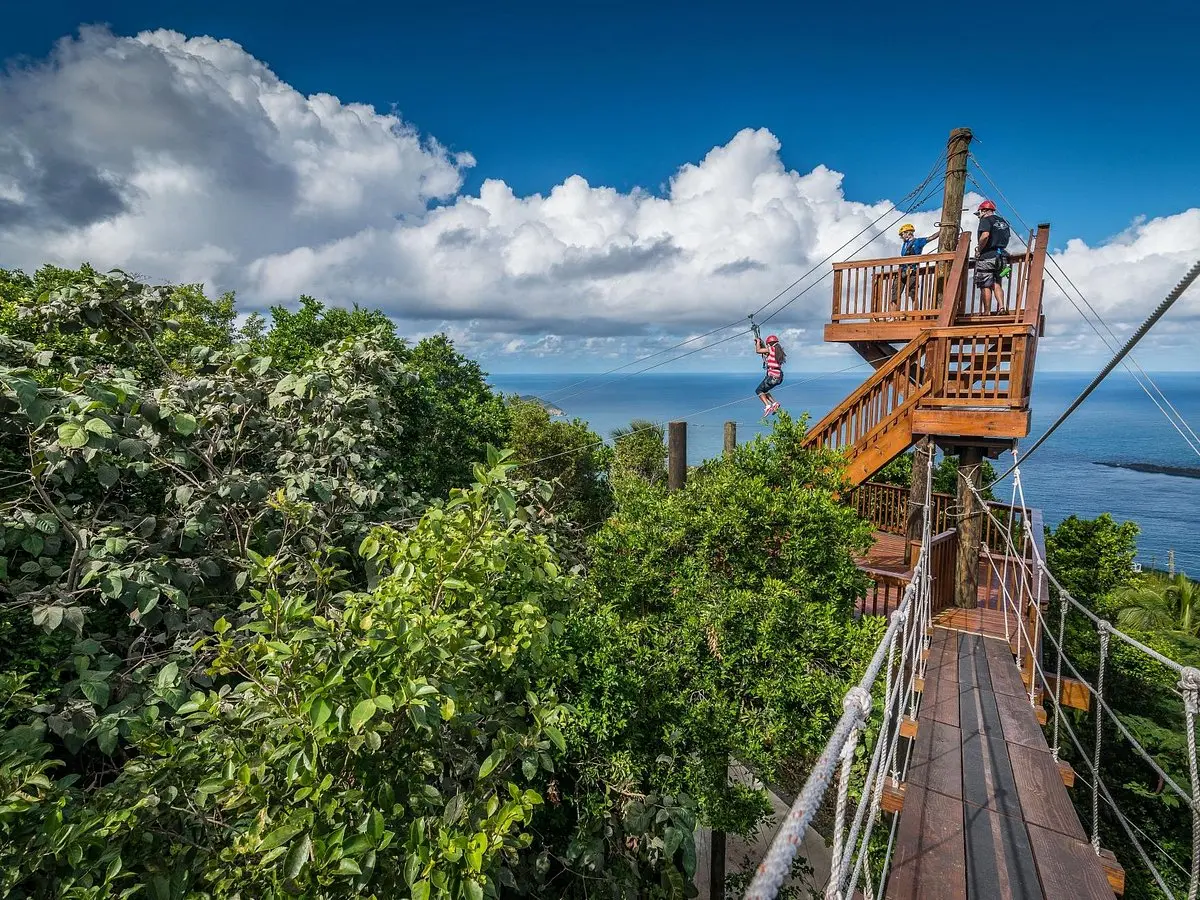 Tree Limin' Extreme Zipline - All You Need to Know BEFORE You Go (2024)