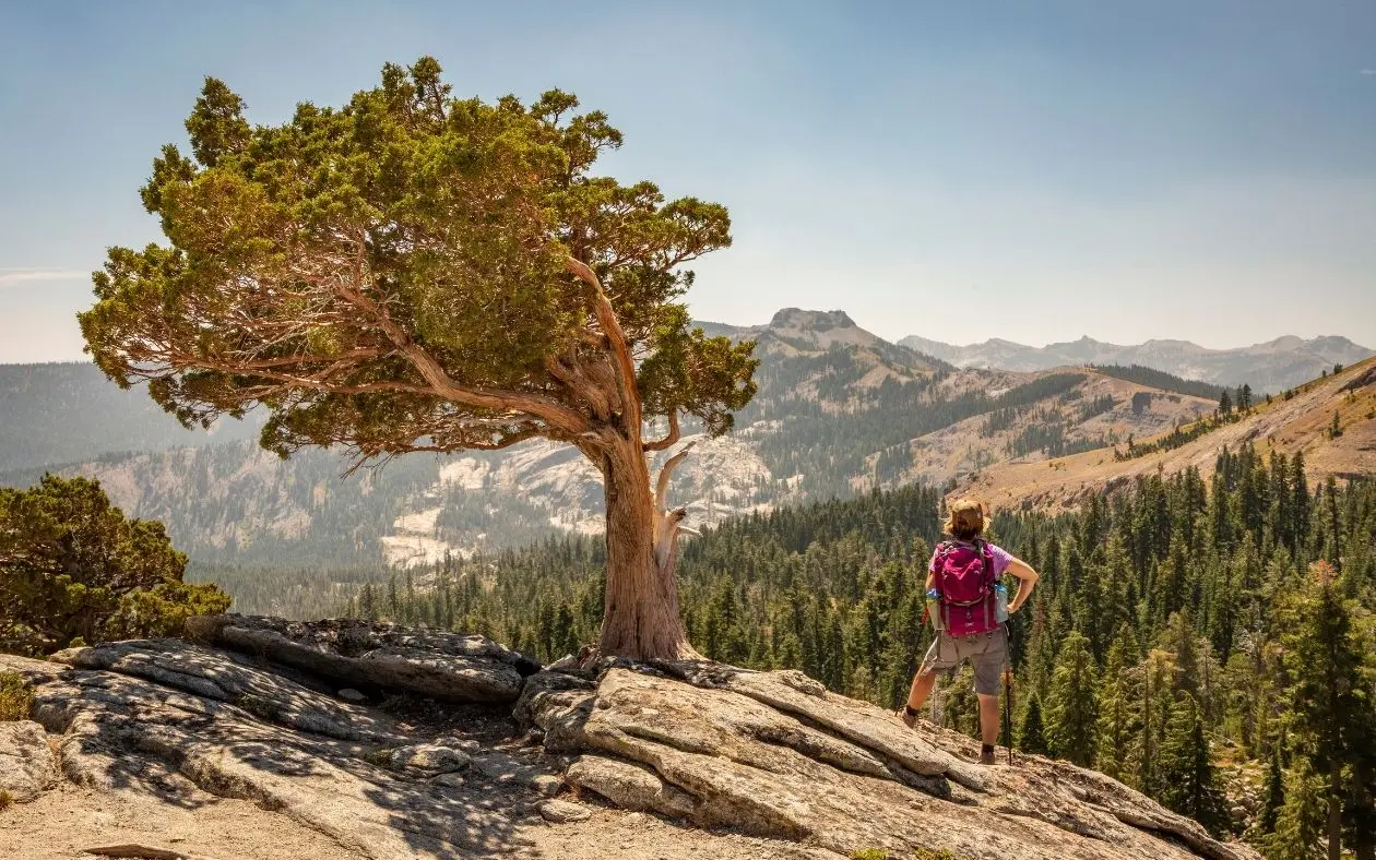 Donner Summit - Things to Do, History, & Adventure