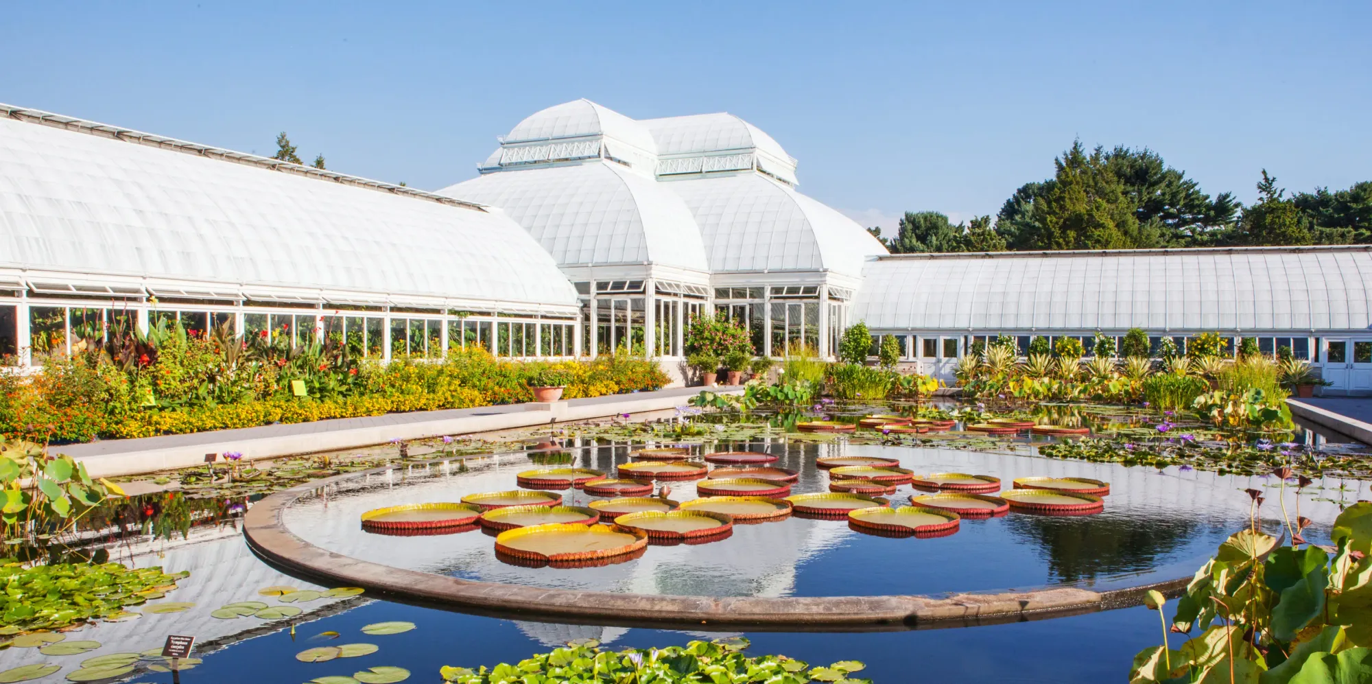 Guide to the New York Botanical Garden