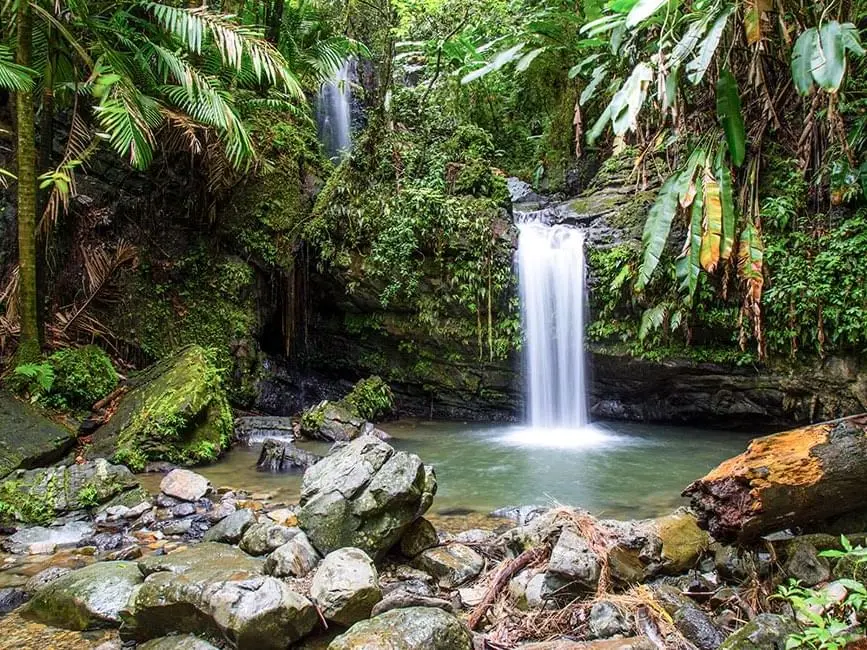 Visit El Yunque National Forest | Plantation Resort Residences