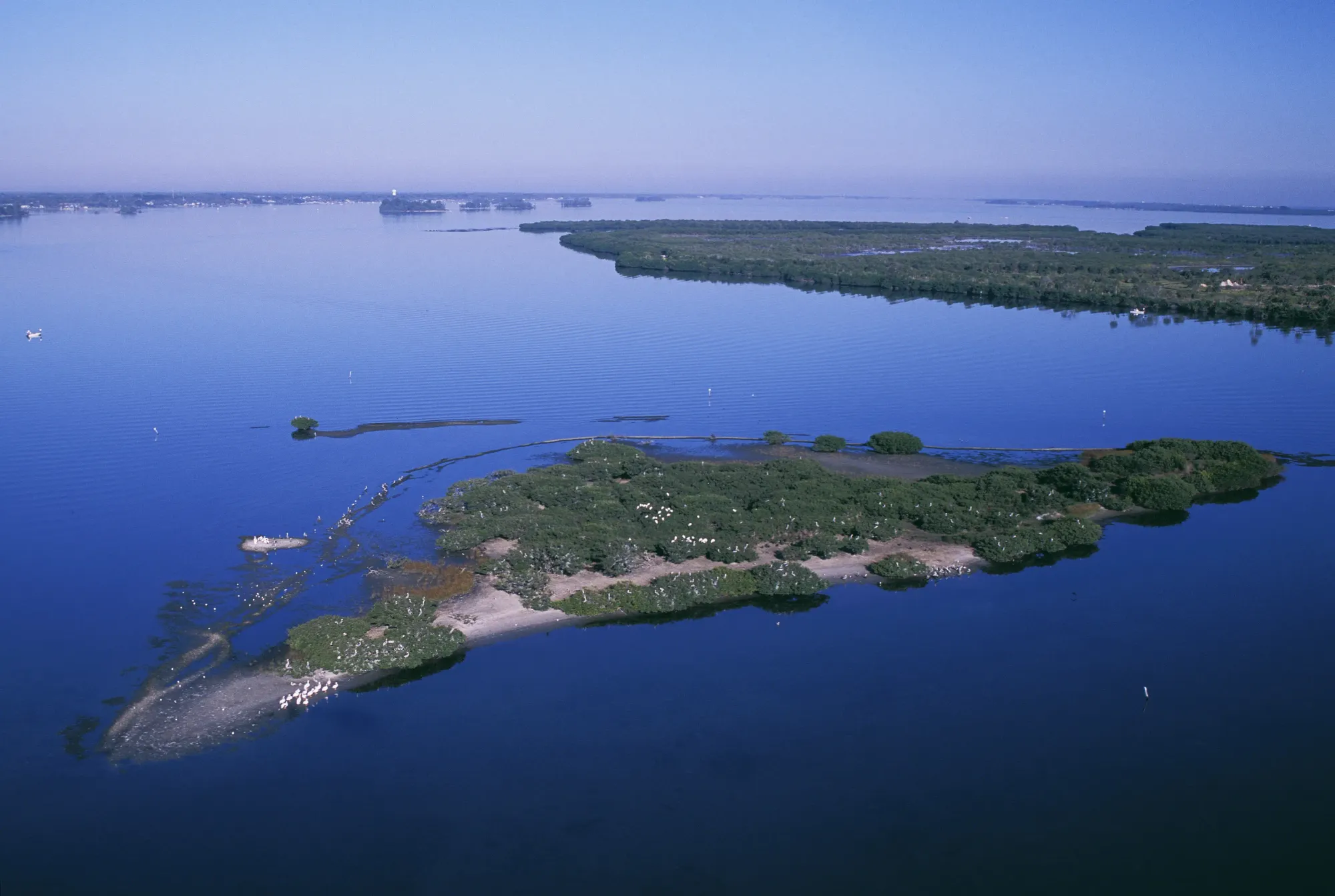 Pelican Island National Wildlife Refuge - Wikipedia