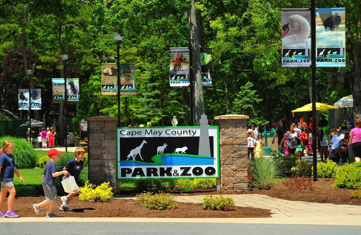 Cape May County Zoo and Zoological Society | NJ Southern Shore