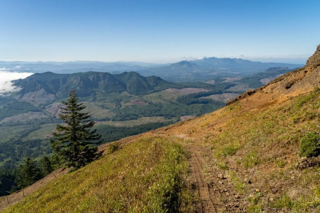 The Incredible Saddle Mountain Trail: A Complete Guide