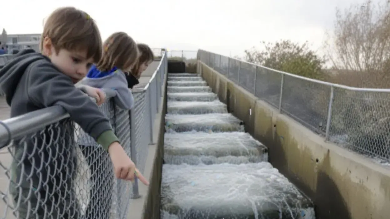 Nimbus Fish Hatchery Salmon Ladder – Sacramento Sidetracks