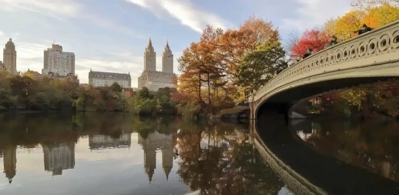 Bow Bridge in Central Park