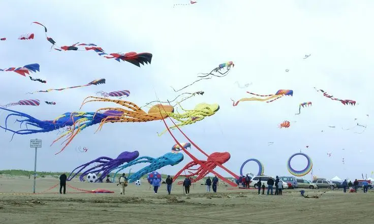 Festival of Colors - Travel Ocean Shores %