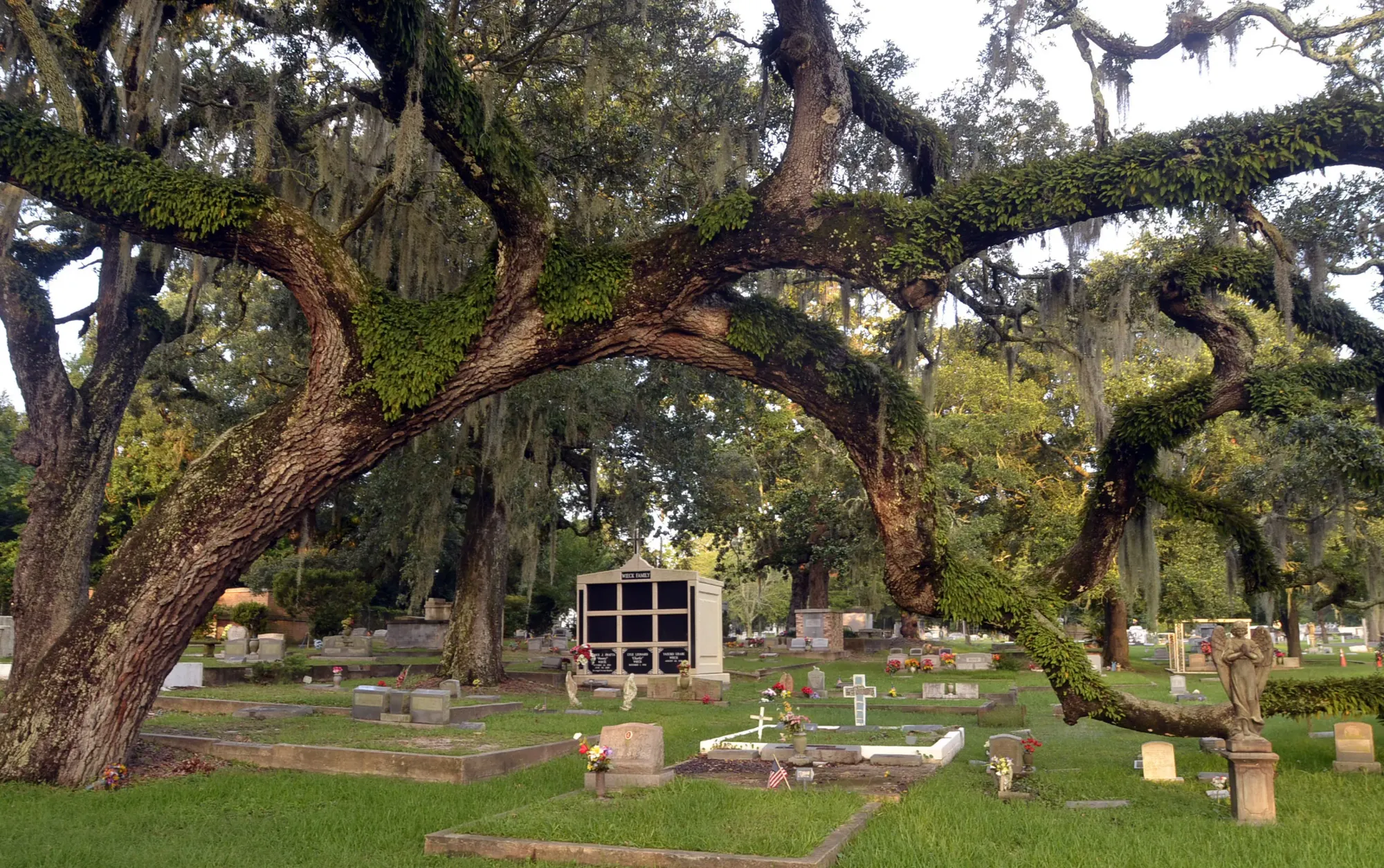 Biloxi City Cemetery - "Old Biloxi Cemetery" | Biloxi, MS 39530