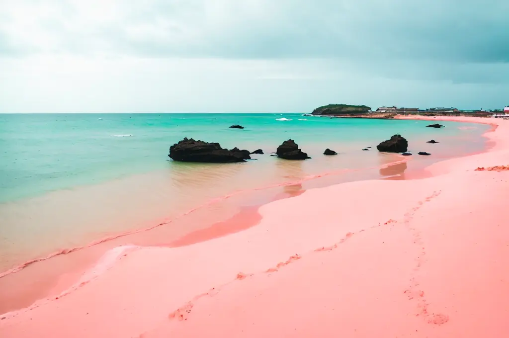 The Unique Pink Sands Beach in Harbour Island, the Bahamas 