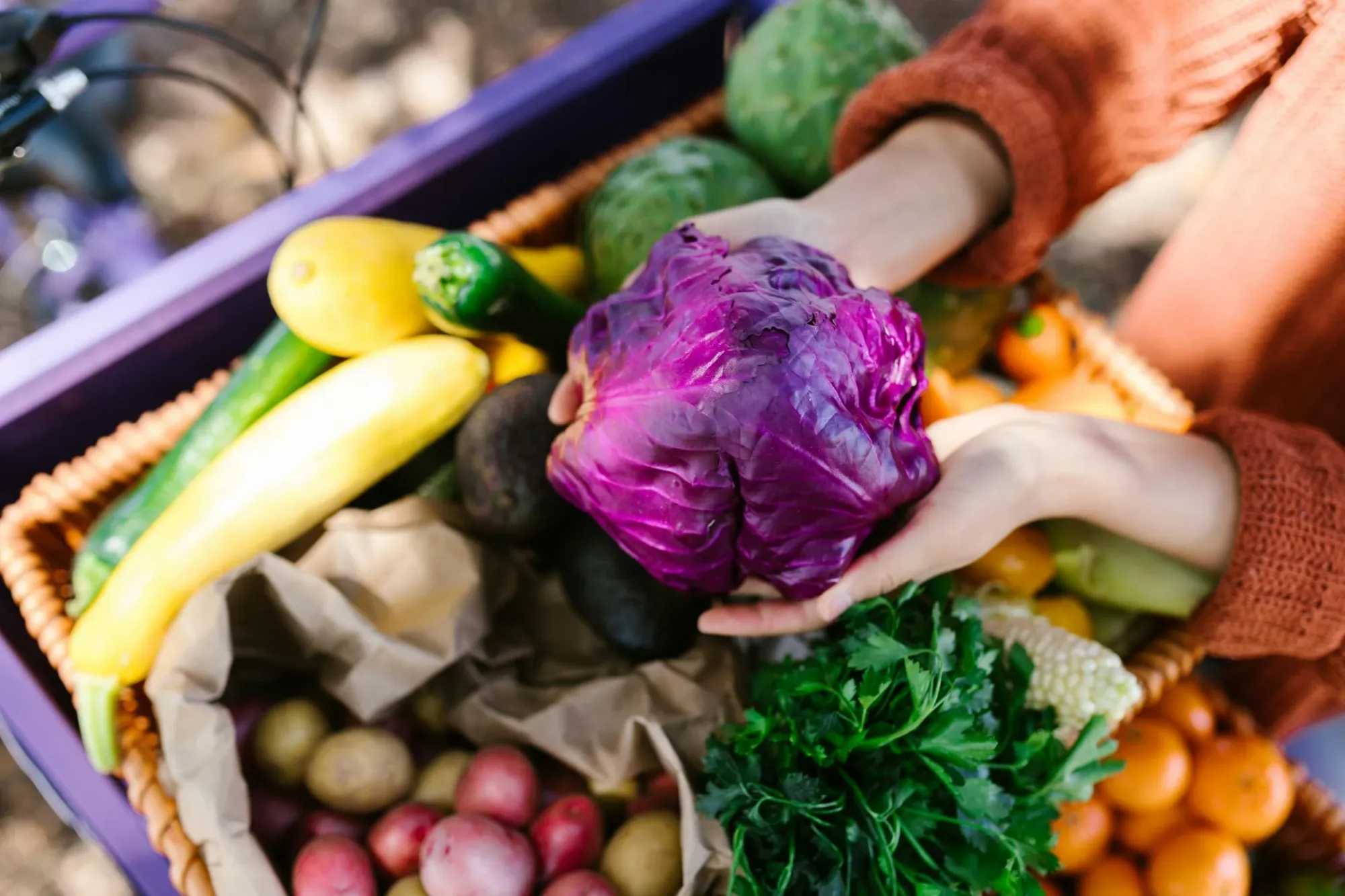 Oshkosh Farmers Market