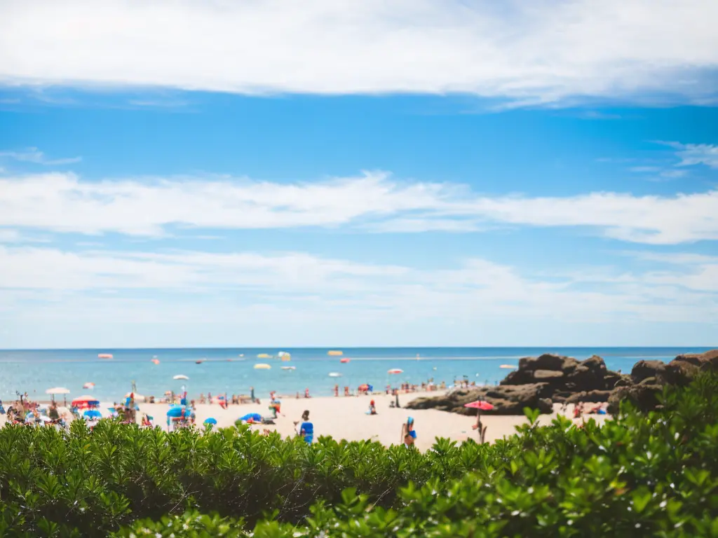 Hammonasset Beach State Park