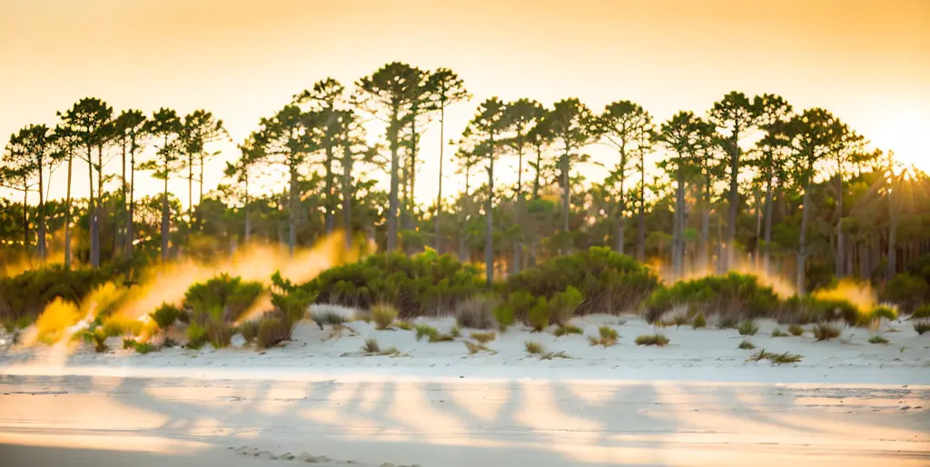 Topsail Hill Preserve State Park 