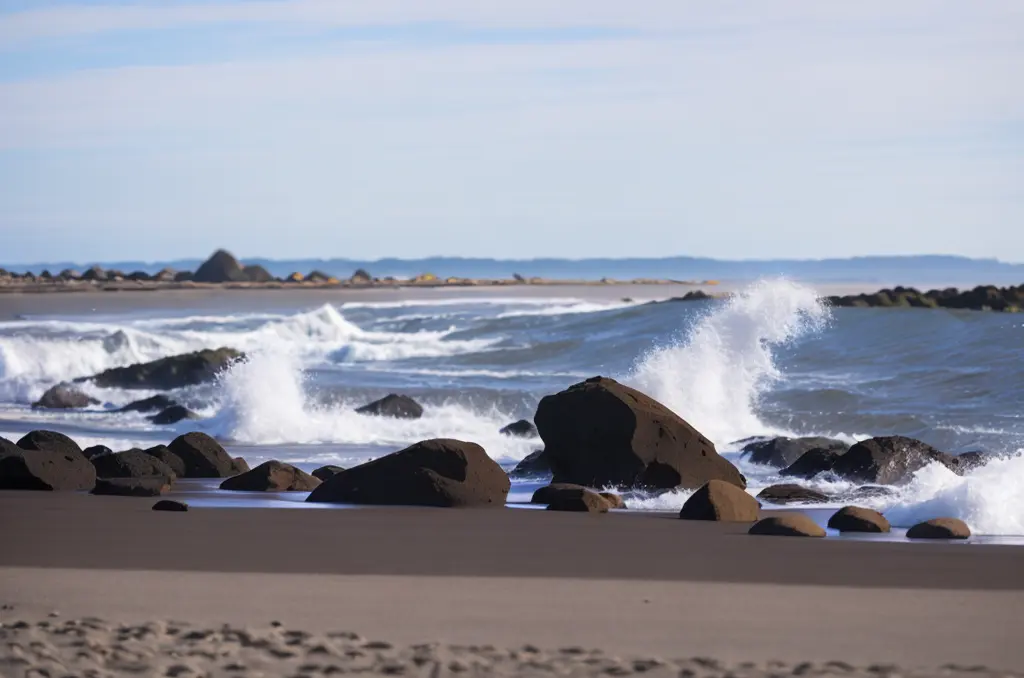 Ocean Shores Beaches