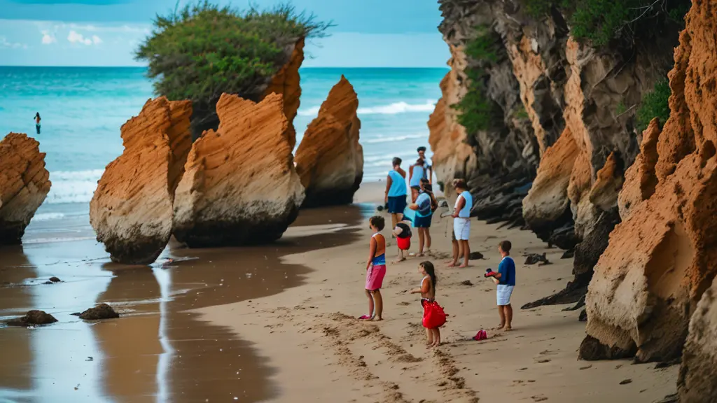 Hopewell Rocks Tours - Book Now | Expedia