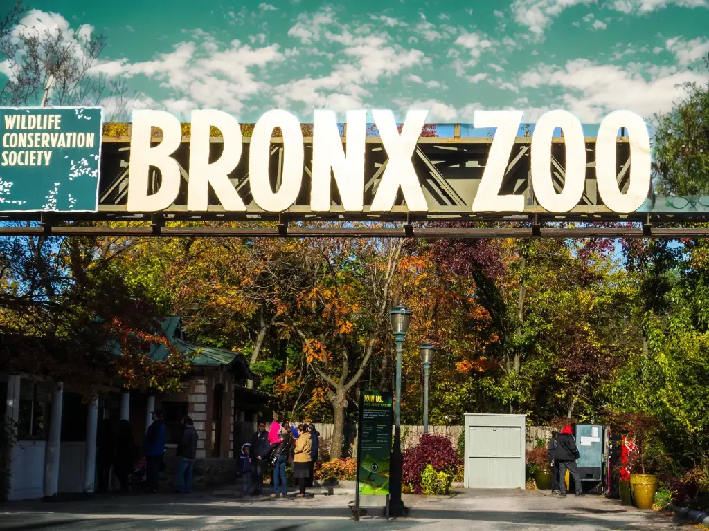 You can get free admission to the Bronx Zoo on Wednesdays, but you need to  RSVP