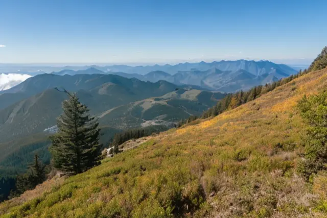 The Incredible Saddle Mountain Trail: A Complete Guide