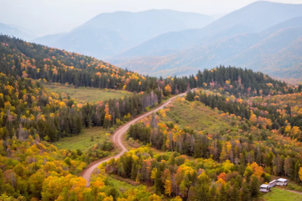 Max Patch Loop