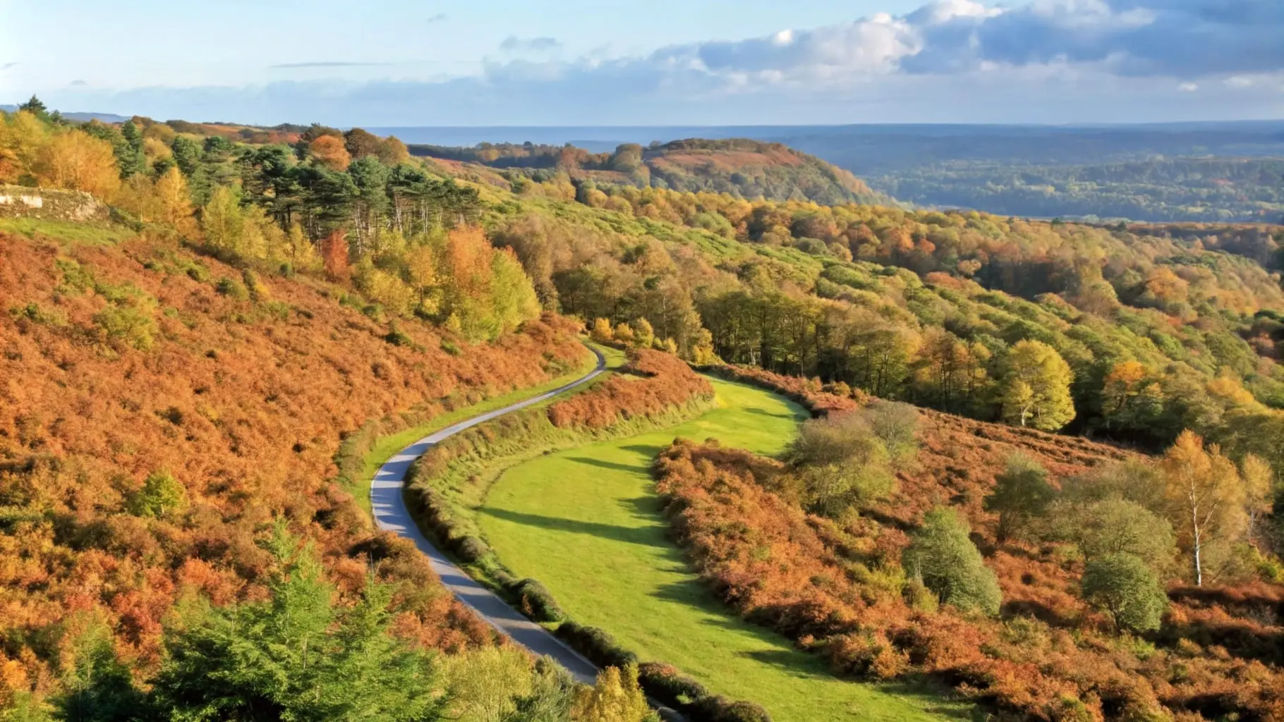 Hindhead Commons | Surrey | National Trust