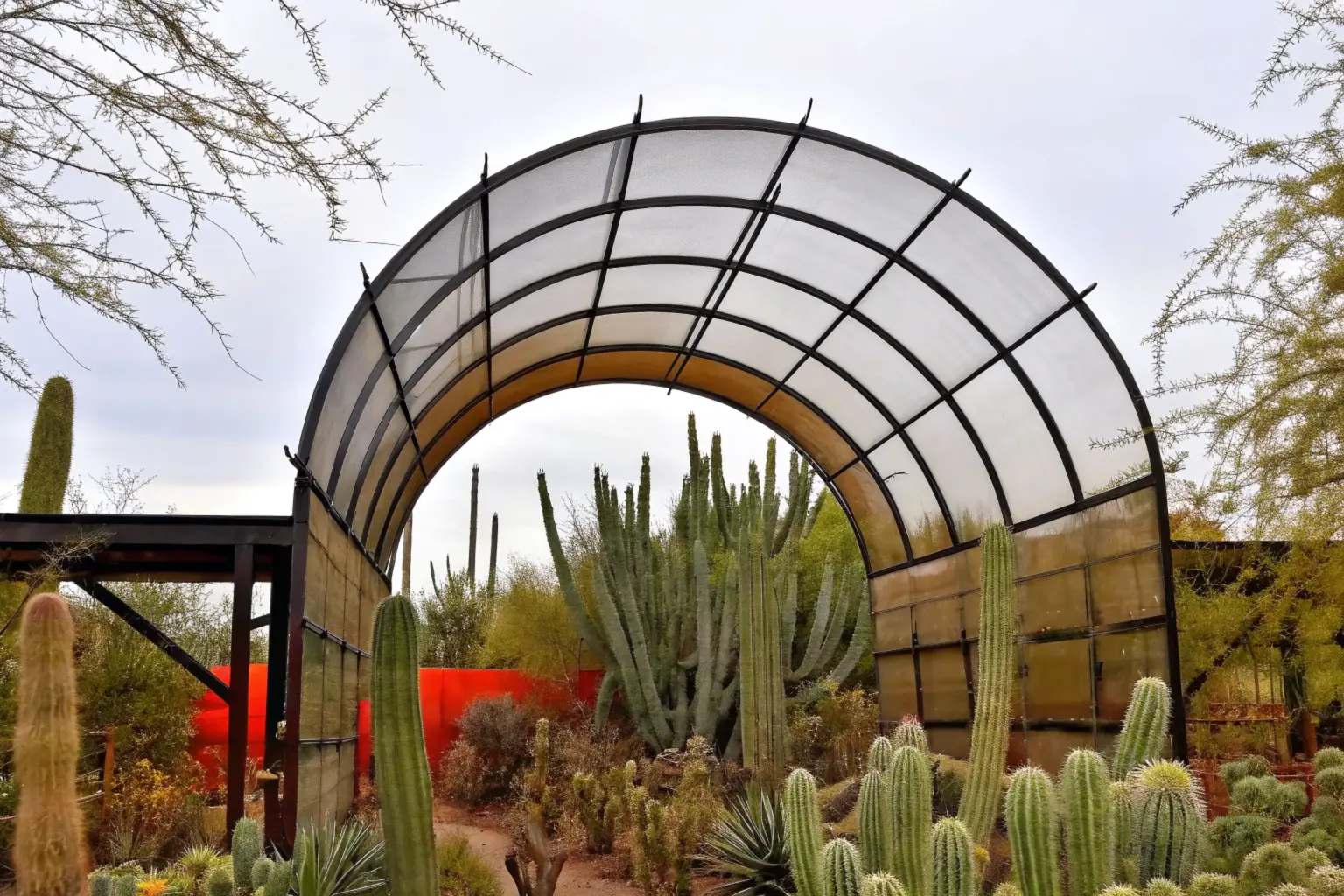 Desert Botanical Garden