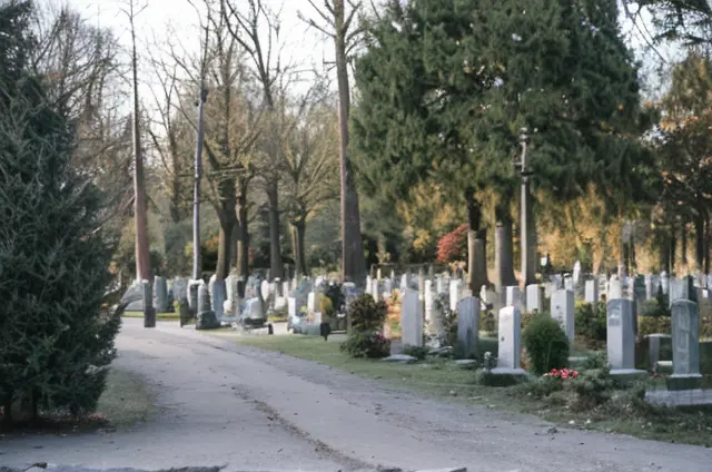 Woodland Cemetery 