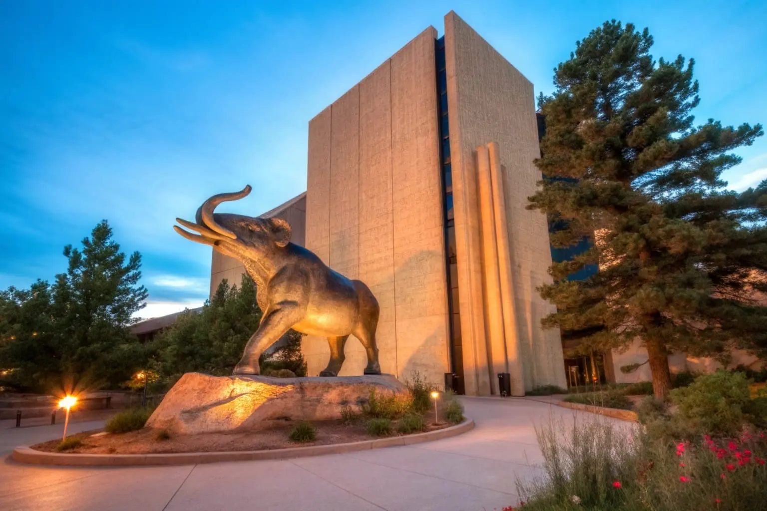 OFFICIAL Denver Museum of Nature & Science : Denver Museum Of Nature &  Science