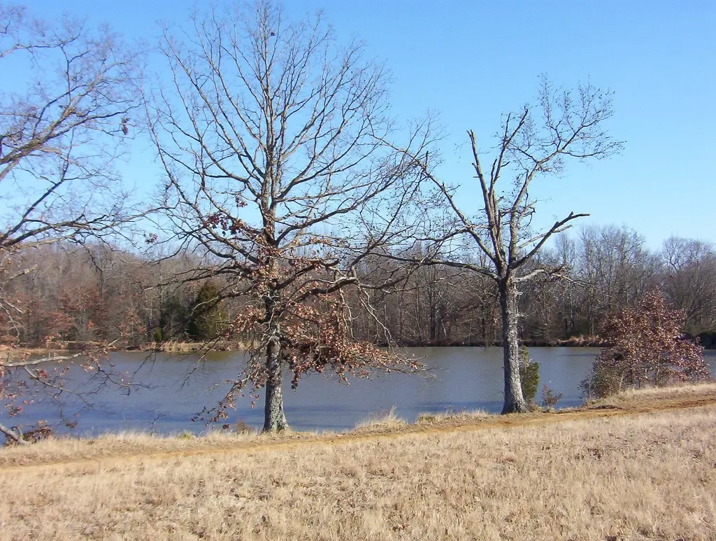 File:Shelby farms park scenic.jpg - Wikimedia Commons