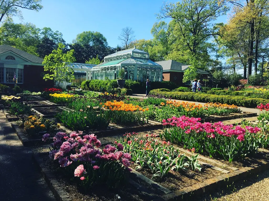 Dixon Gallery & Gardens | Tulips, April 2017 | Memphis CVB | Flickr