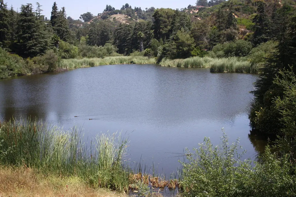 Franklin Canyon Lake | David Lofink | Flickr