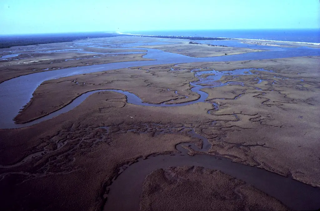 nerr0315 | North Inlet - Winyah Bay National Estuarine Resea… | Flickr